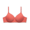 Padded Bras