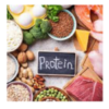 Protein & Wellness